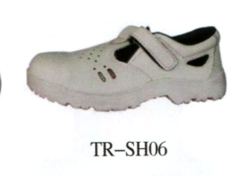 TR-SH06